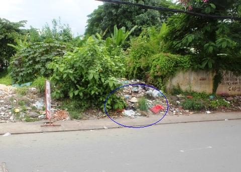 thai nhi, vỉa hè