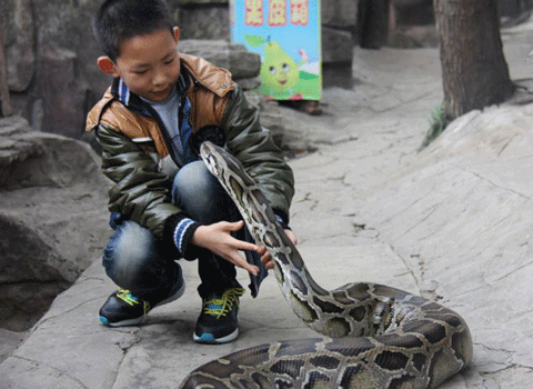 Cậu bé cùng chú trăn vui chơi