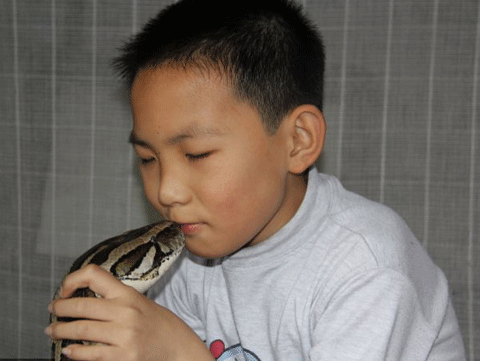 Cậu bé âu yếm chú trăn
