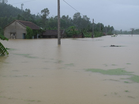 nước lũ, Nghệ An, cuốn trôi, trắng tay, tài sản