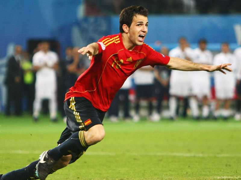 Fabregas chiến đấu cùng tuyển TBN