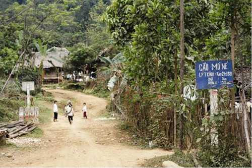 tự tử, thuốc diệt cỏ, hòa bình