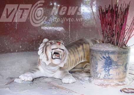 Ai hát giữa rừng khuya