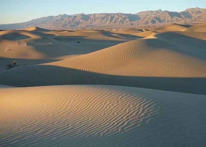 Những cồn cát trùng điệp, điểm xuyết một vài bụi cây creosote tạo cảm hứng cho các nhiếp ảnh gia. Rất nhiều đạo diễn Hollywood cũng chọn nơi đây cho các cảnh sa mạc trong phim.