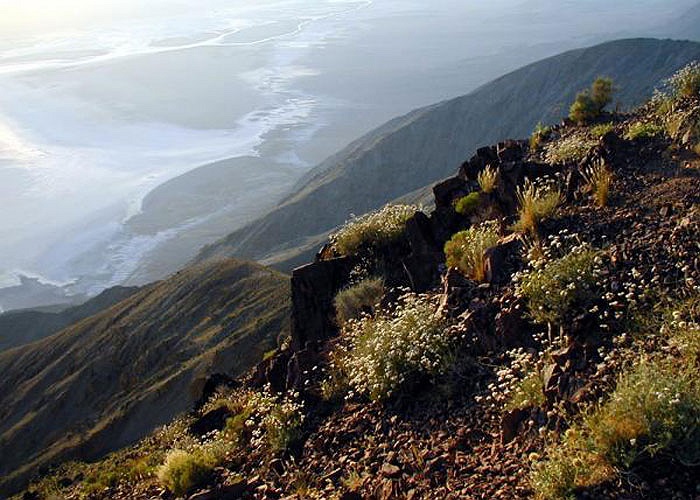 Hình ảnh những “sa mạc muối” nhìn từ trên cao trông giống như những dòng sông. Với diện tích hơn 520 km2, đây là sa mạc muối lớn nhất trên thế giới.