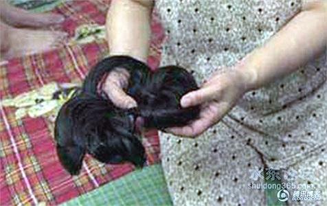 Lưu Phỉ, cô gái vàng của môn thể dục dụng cụ một thời đã không thể tìm được việc làm sau khi giải nghệ. Cả nhà cô sống trong một căn phòng nhỏ hẹp, bố cô phải nằm giường xếp ngoài hành lang. 