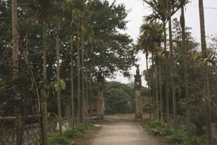 thiên hạ đệ nhất nói tức, bắc ninh, can vũ, đá xoáy