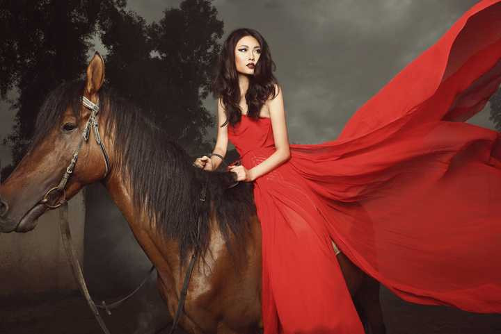 Vietnam's Next Top Model