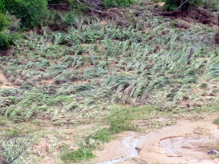 sự cố, vỡ đập, nước, chảy siết, thủy thần, hoảng sợ