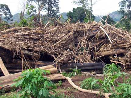 đập thủy điện, thiệt hại, vỡ đập, hoa màu, khắc phục, Gia Lai