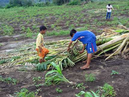 đập thủy điện, thiệt hại, vỡ đập, hoa màu, khắc phục, Gia Lai