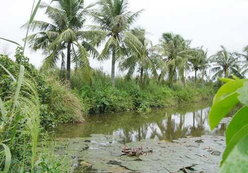 vụ án hiếp dâm, yêu râu xanh, hiếp dâm hàng loạt, hiếp dâm nữ sinh