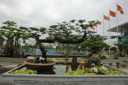 Những siêu cây đình đám một thời, giờ ngày càng trở nên "kín tiếng".