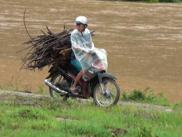 vớt củi, liều mạng, lũ lịch sử, điện biên