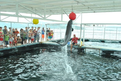 Vui hội trăng rằm cùng Vinpearl Land