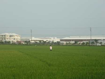 Cảnh học viên Lô Hội mặc nguyên đồng phục ra đồng bắt cua, ốc bươu vàng