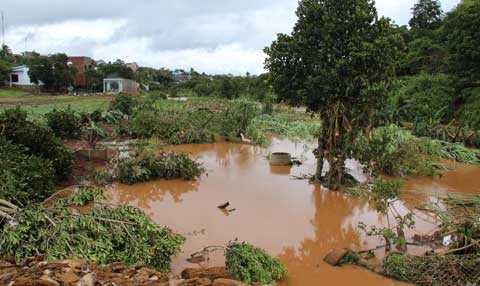 Dấu tích còn lại của 2 ngôi nhà chỉ còn lại cái miệng giếng còn nguyên vẹn.