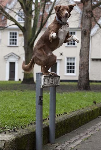 ...đến một tấm biển có chiều rộng rất nhỏ. 