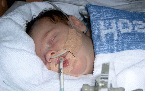 Lauren 8 tuần tuổi