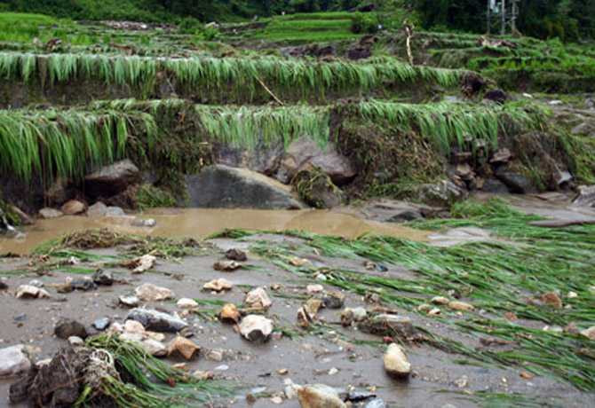 cận cảnh, lũ quét, sa pa, lào cai, thiệt mạng, bị thương, cuốn trôi, nhà cửa