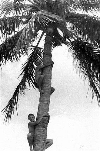 Binh lính Liên Xô giải trí bằng cách leo cây dừa tại Cam Ranh