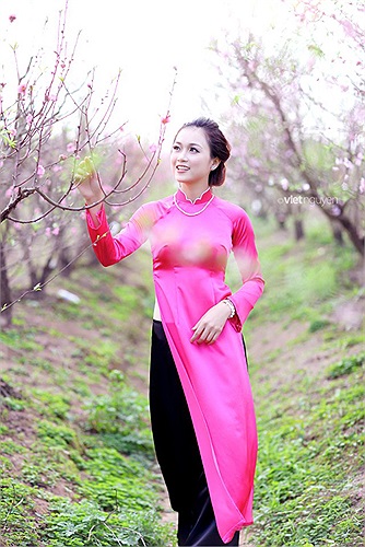 Dịu dàng trong mỗi sớm mai