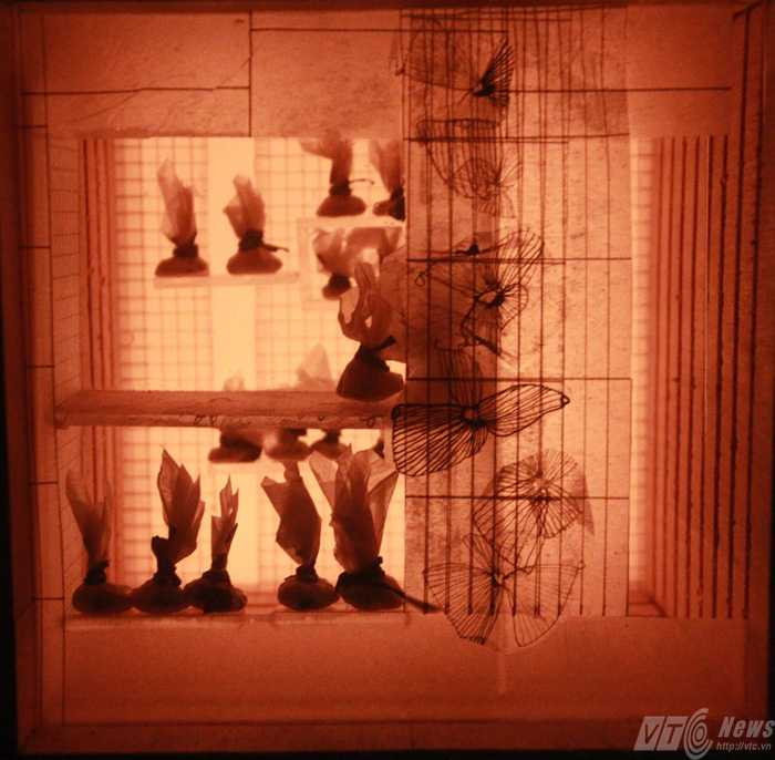 Bản đồ giấy 'hút hồn' giới trẻ