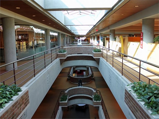 Khu vực bên trong có cảnh quan thoáng mát, đường đi thiết kế rộng rãi 