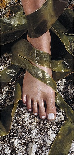 Bí quyết làm đẹp mới của Victoria Beckham: Rong biển.