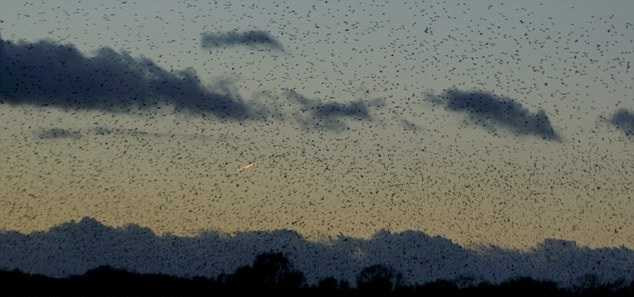 Đến lượt Anh xuất hiện những tia sáng kì lạ trên trời