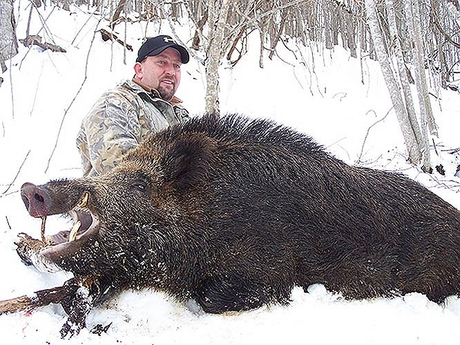 Thợ săn phải bắn cả chục phát đạn mới hạ gục được nó