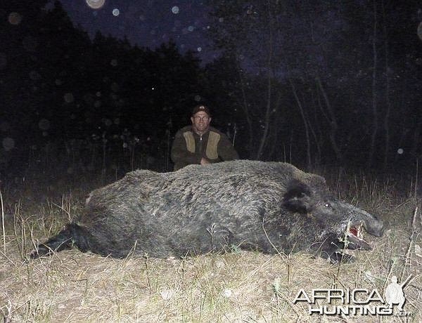 Thợ săn lợn rừng phải đứng ở cuối chiều gió mới săn được nó