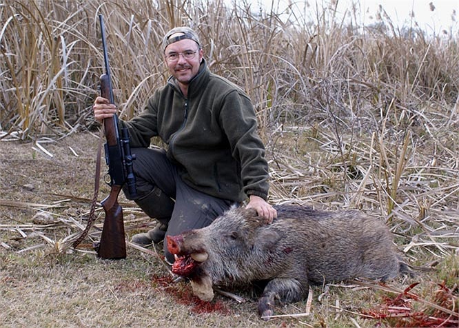 Chúng thường có thói quen đầm mình trong bùn vào mùa hè để tạo ra cảm giác mát mẻ và loại bỏ kí sinh trùng trên da