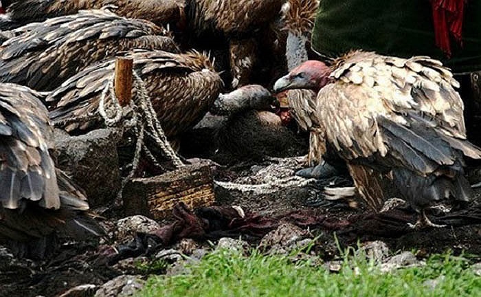 Với những dân tộc khác, thì cách thức mai táng này là dã man