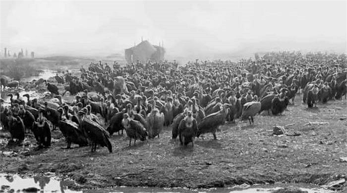 Hỏa táng cũng không phù hợp, vì phải tốn nhiều gỗ, mà vùng cao nguyên Tây Tạng lạnh giá này, gỗ là thứ rất quý.