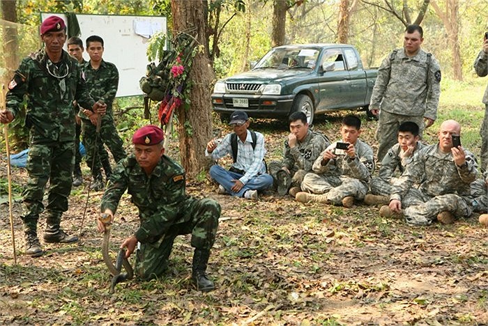 Lính Thái Lan thể hiện khả năng khống chế rắn hổ mang trong rừng rậm