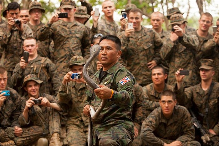 Đây là một phần trong bài tập sinh tồn trong rừng rậm nhiệt đới của cuộc tập trận Hổ mang vàng