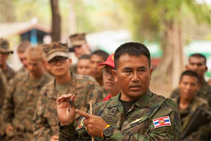 Ngoài rắn, bọ cạp cũng được sử dụng trong bài học sinh tồn