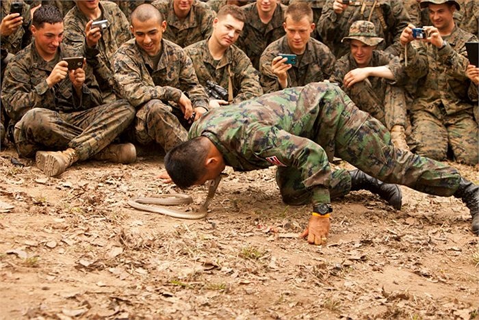 Luyện tập cùng với rắn hổ mang