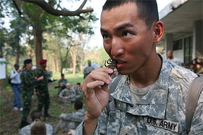 Biến các động vật có độc này thành thức ăn