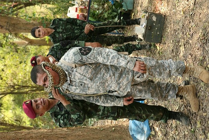 Trăn cũng là đối tượng được chú ý trong các bài học sinh tồn