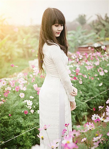 Và trong tà áo dài trắng tinh khôi, Nguyễn Lan Chi, cô bạn đang học tại trường THPT Phạm Hồng Thái (Hà Nội) cũng có cho riêng mình bộ ảnh ngày Xuân.