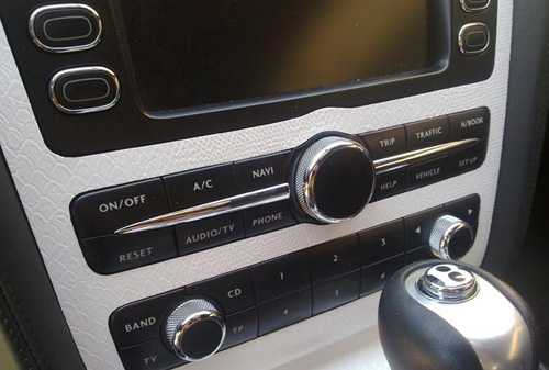 Ngắm siêu xe Bentley bọc da rắn