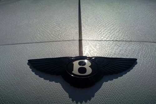 Ngắm siêu xe Bentley bọc da rắn