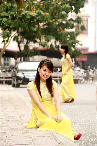 Hay ngồi dưới những gốc sưa hoa rụng trắng muốt