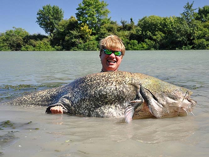 Khoái khẩu của nó là các loài cá, tuy nhiên, cái miệng to tướng phàm ăn của nó xơi cả vịt, ngan, ngỗng