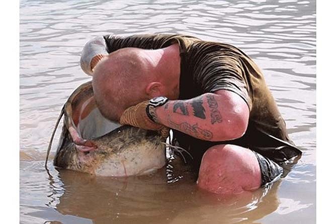 Mồi câu nheo khổng lồ là các loại cá chết thối như mè, trôi. Các cần thủ cũng tóm cả bó trùn, giun vào lưỡi