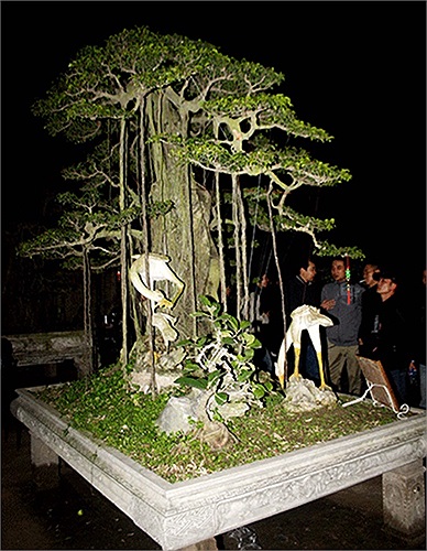 (Theo Kiến thức)