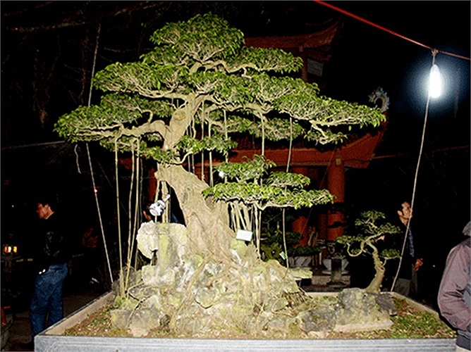 (Theo Kiến thức)