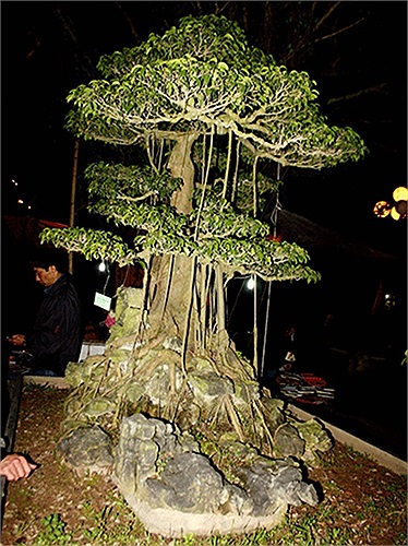 (Theo Kiến thức)